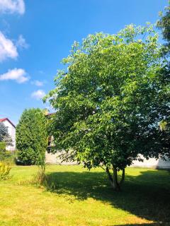 Apartmány Zelená Hora s velkou zahradou - Saar - 7