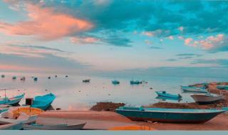 Red sea apartment hotel - Hurghada - 8