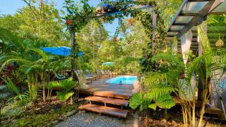 Dragonfly Beachfront Villas-Adult Only - Punta Uva - 9