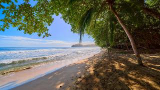 Dragonfly Beachfront Villas-Adult Only - Punta Uva - 3