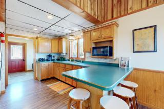 Tall Timber - 1