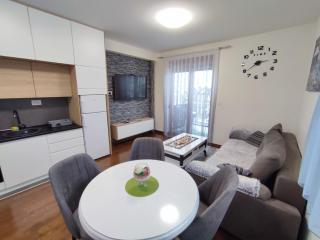 Apartman Panda Zlatibor - Zlatibor - 0