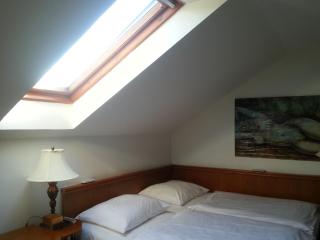 Antik Hotel Sofia - Litomyšl - 1