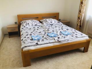 Apartmány Zelená Hora s velkou zahradou - Saar - 9