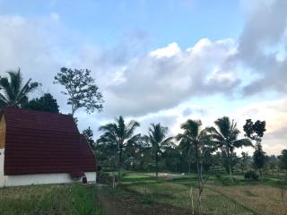 Bello Rise Terrace Bungalow - Kotaraja - 5