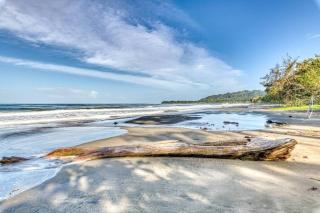 Modern Beachfront Apartment, With Garden Patio - Puerto Viejo - 2