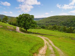 Ristbrow Farm - Hawnby - 7