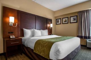 Comfort Suites at Woodbridge - Avenel - 8