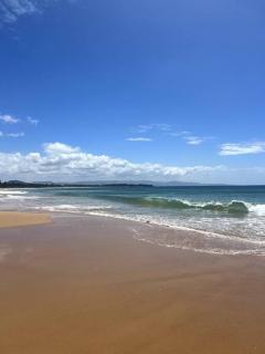 Culburra Beach House - Culburra Beach - 4