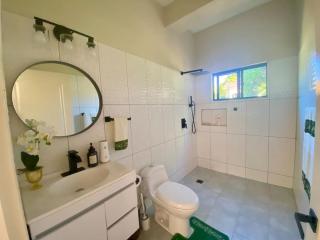Beach, Falls,Pitons, Mud Bath- Villa La Soufriere - - 7