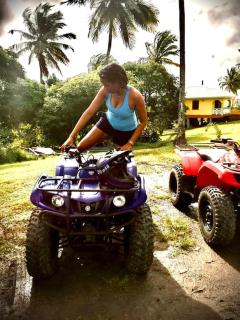Beach, Falls,Pitons, Mud Bath- Villa La Soufriere - - 1