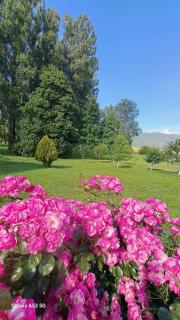 Apartman Kristina - 2