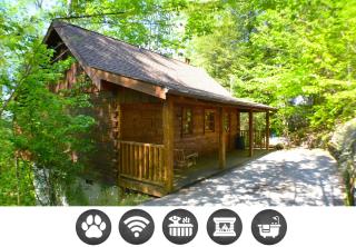 Cabin Fever - Sevierville - 0