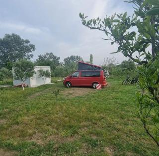 Camping & biofarm Gjegji - Lezhë - 8