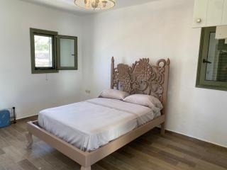 Ambeli house Arkasa - Arkasa - 4