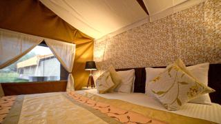 Desert Himalaya Resort Nubra Ladakh by LexStays - Leh - 4