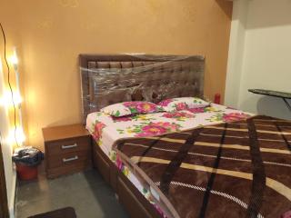 Ivory guest house - 0