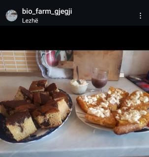 Camping & biofarm Gjegji - Lezhë - 2