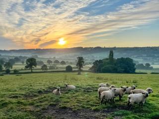 The Farmhouse, Ley Farm - Yarcombe - 8