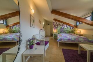 Penzion U Zámku - 7