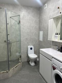 Green Plaza Трехкомнатная - 3