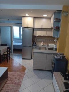Apartman,,Siv,, Prijevor - 4