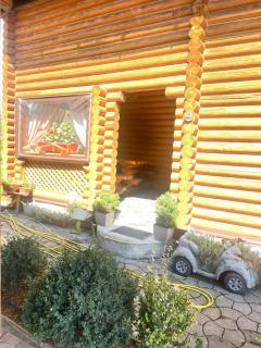 Cottage in Yasinya - 7