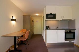 Eiger Studio - Wengen - 1