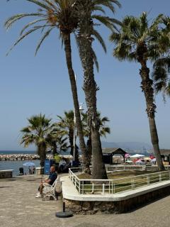 PedregaBeachS - Málaga - 7