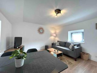 Hyper Centre Charmant T2 idéalement situé - Vienne - 5