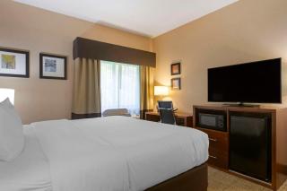 Comfort Inn & Suites Jackson North - 1
