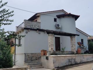 Haus mit Pool in der Natur - Šišan - 8