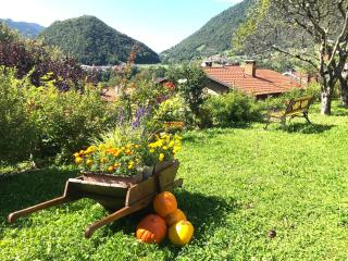 Apartma Savan - Tolmin - 2