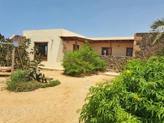 "Oasis del mar", canarian finca for nature and animal lovers, water sport enthusiasts and for families - El Roque - 9