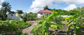 Senegambia Birding Lodge - Full board - Bird Photohide - - 9