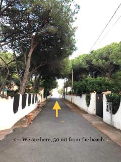 Villa La Cicocca, 50 mt from the beach - Forte Village - 7