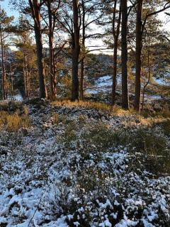 Villa Holmen The Island - inspiration for the movie The Menu - 9