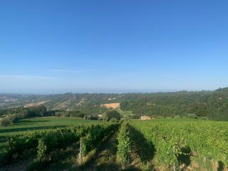 Tra borghi e mare - Ripatransone - Ripatransone - 5