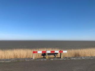 Nr90 Neues, ruhiges Ferienhaus direkt am Wattenmeer, hundefreundlich, komplett eingezäunt - b66748 - Westerland - 1