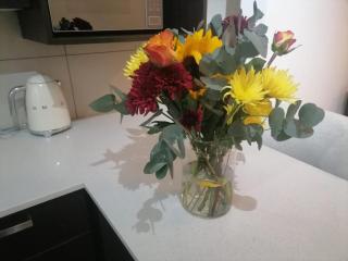 Apartment in Fourways - 5