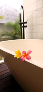 Swaha at Canggu Villa 1 - Canggu - 0