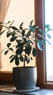 Shtepi private familjare - Sarandë - 7