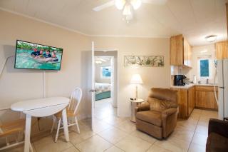Tropic Terrace #41 - Beachfront Resort - St Pete Beach - 7