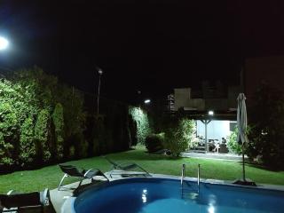 The entire house in Mosnita Noua whit pool - Moşniţa Nouă - 9