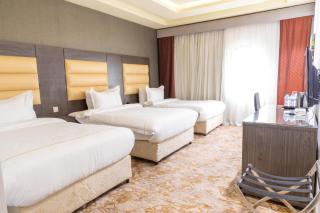 فندق دان البلاتيني - 8