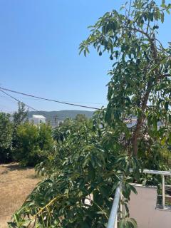 Vila Athina - Ksamil - 6