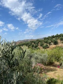 Cortijo alhijra big yourte - Lanjarón - 7