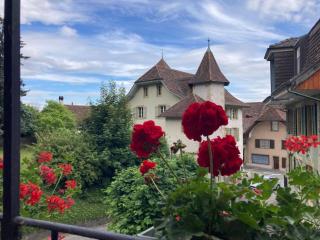 La Vigne - La Neuveville - 9