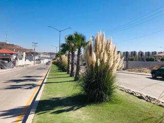 el balcón de los leones 2 - 1