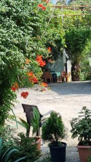 Sweet house natrisi - Kobuleti - 4